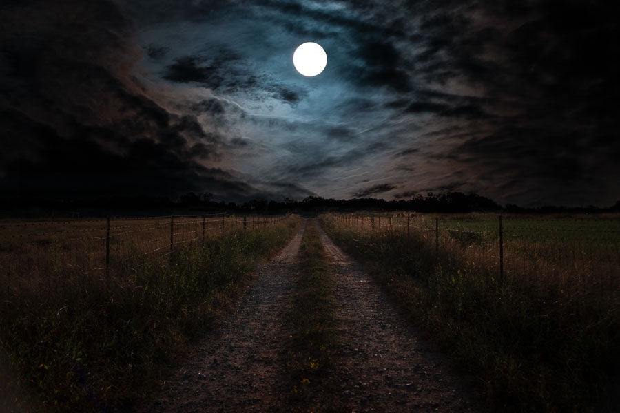 Oconee Moonlight