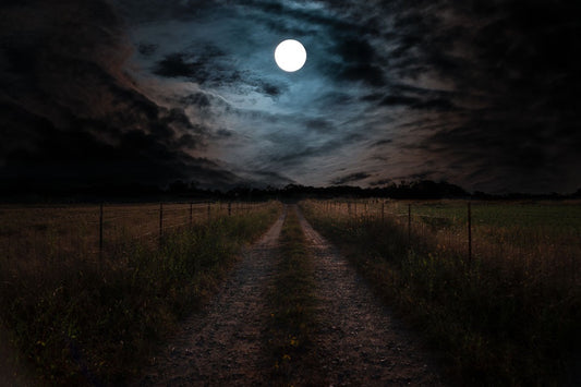 Oconee Moonlight