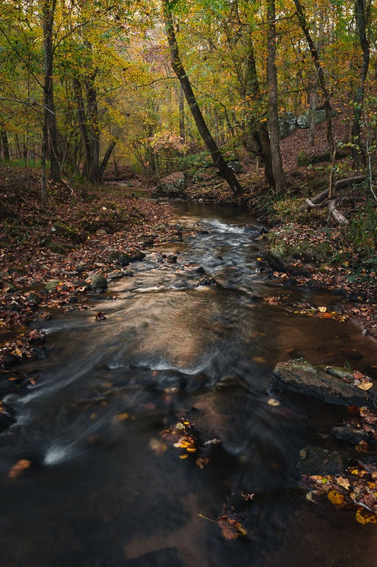 Thomas Farm in Autumn