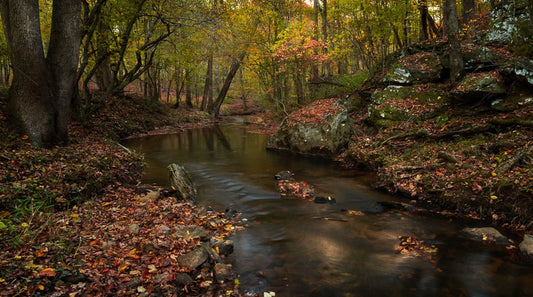 Thomas Farm in Fall
