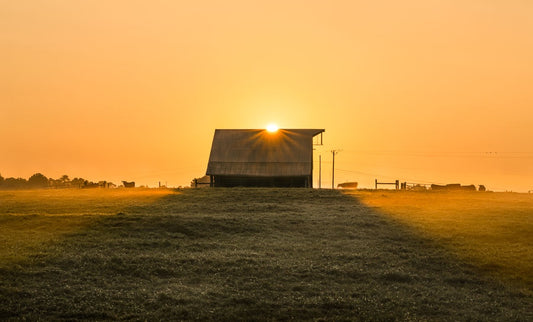 Sunrise Over the Barn