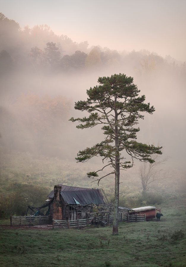 Old Homestead in Early Fall