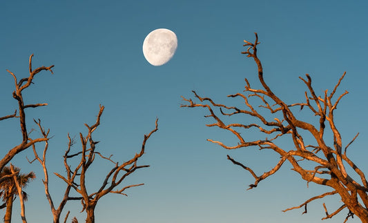 Reaching to the Moon