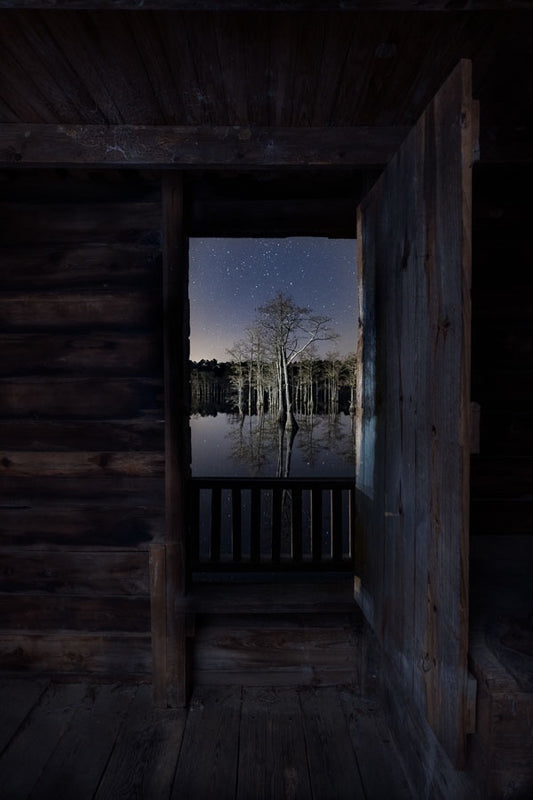 Starry Night in the Swamp