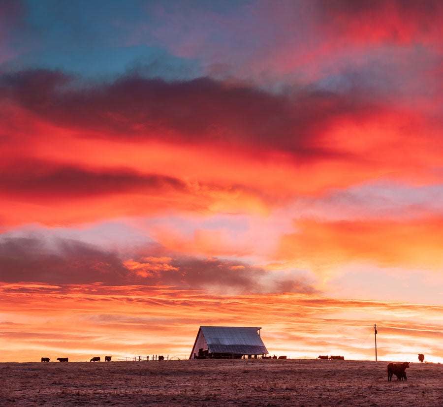 Beautiful Sunrise on a Frozen Morning