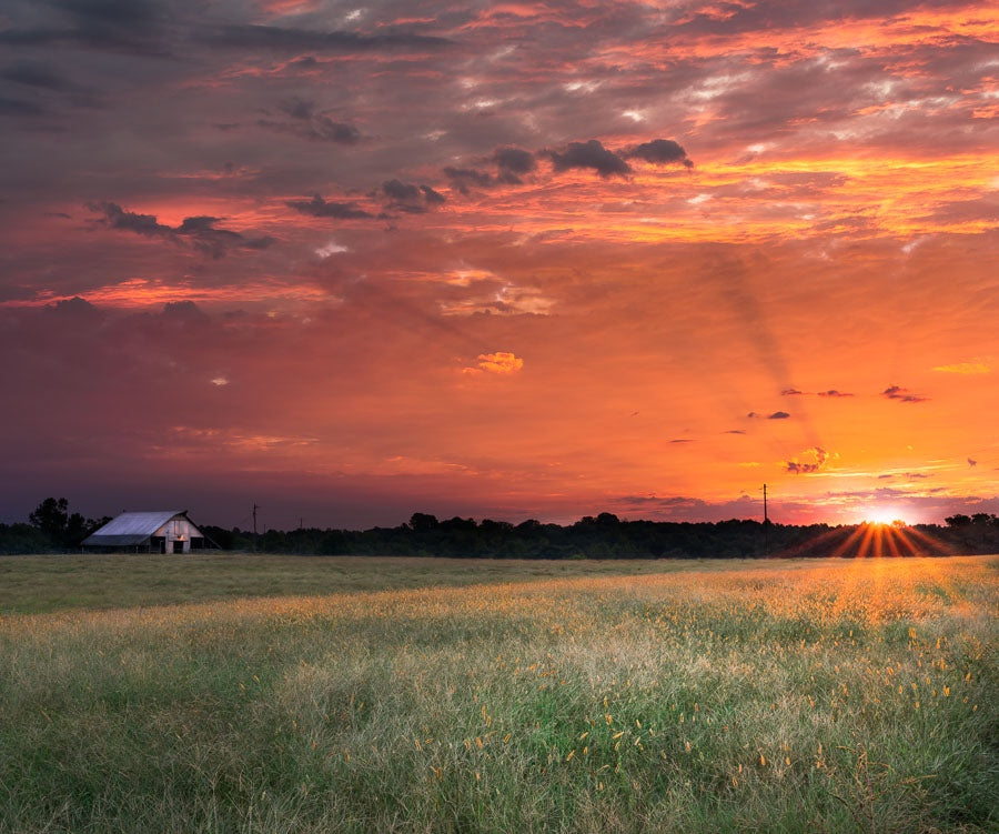 A Sunrise to Remember