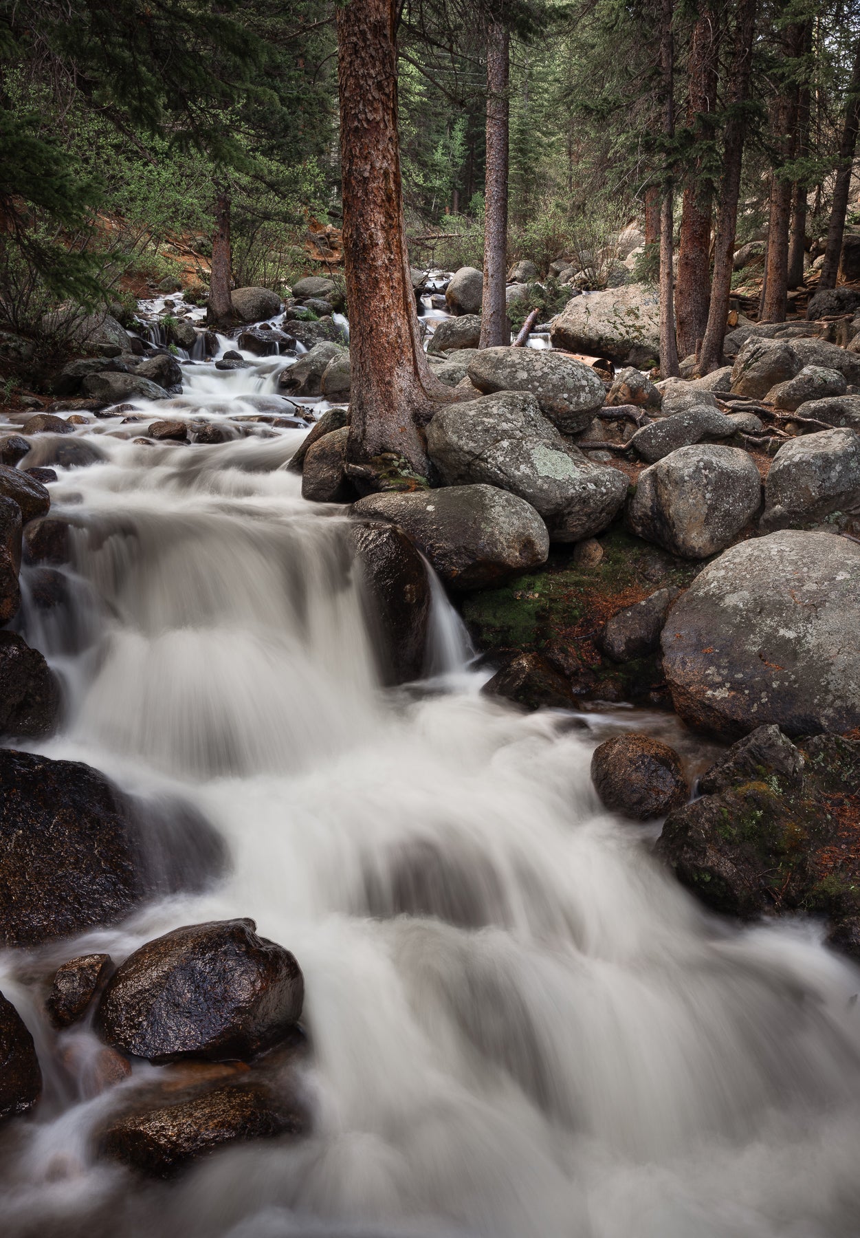 Cascading Stream in Colorado