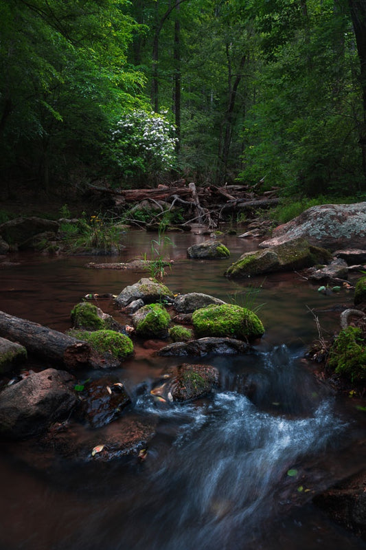 Oasis in Oconee