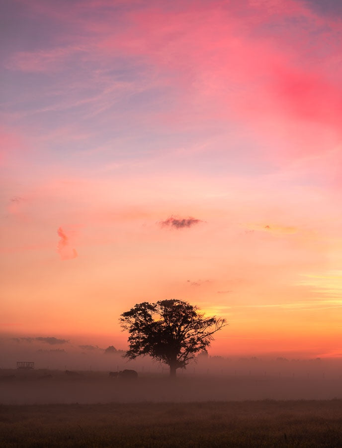 A Morning to Remember