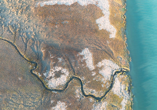 The Georgia Marsh
