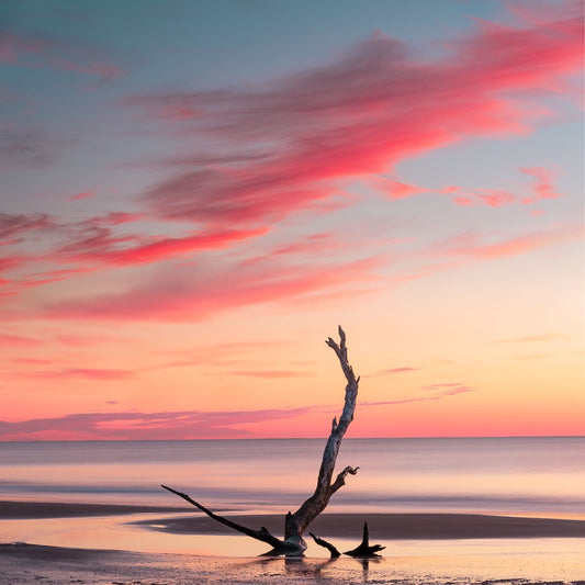 Wassaw Island at Sunrise