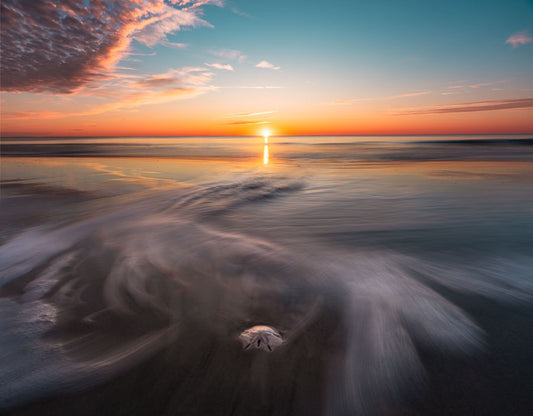 Sand Dollar and the Sun