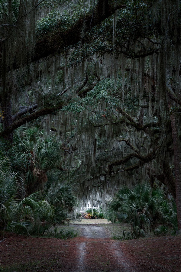 Hidden Home on Wassaw Island
