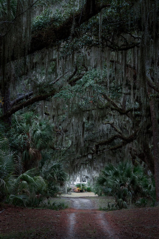 Hidden Home on Wassaw Island