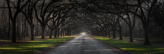Wormsloe