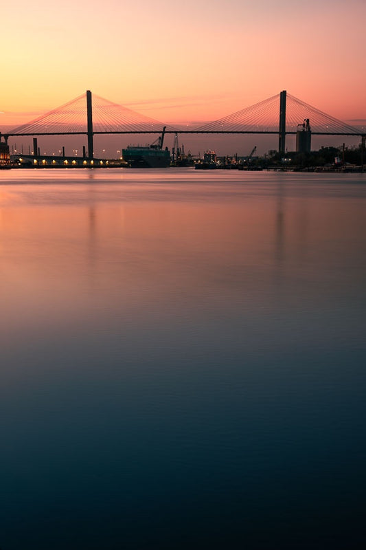Talmadge Memorial Bridge