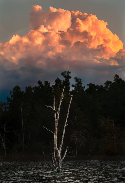 Storm Clouds Over Lake Seminole