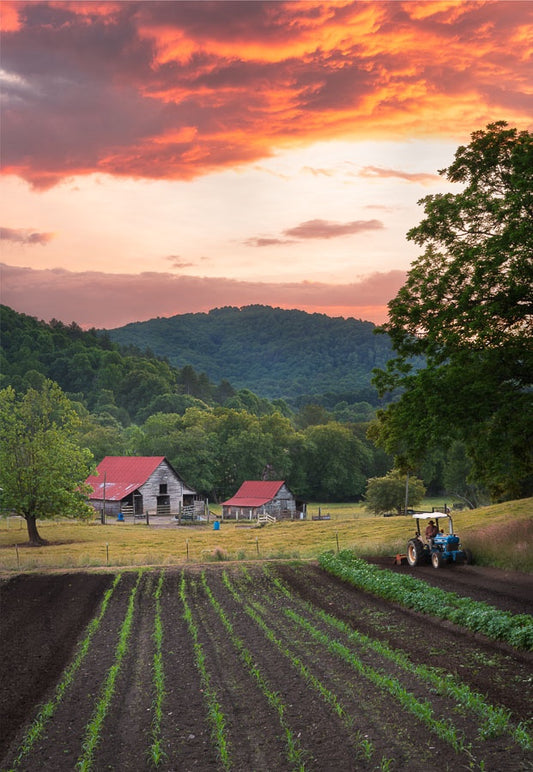 Farming in Paradise