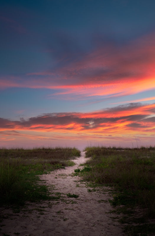 Path to Paradise
