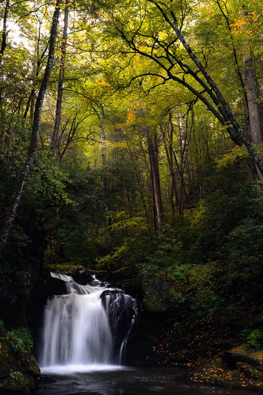 Land of Fairytale
