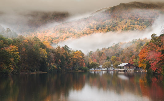 Vogel State Park Fog