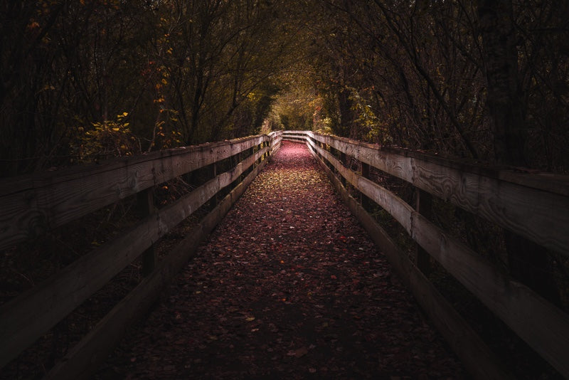 Trails at Harris Shoals