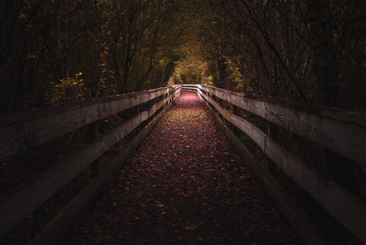 Trails at Harris Shoals
