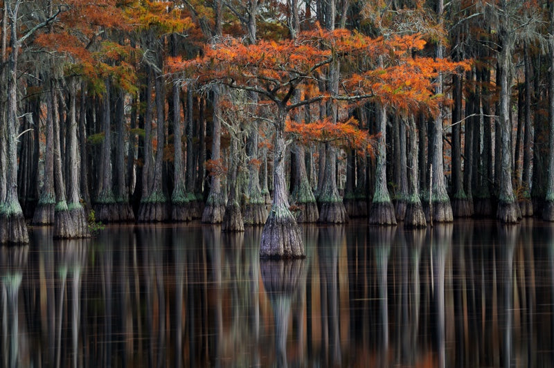 Standing Out From the Crowd