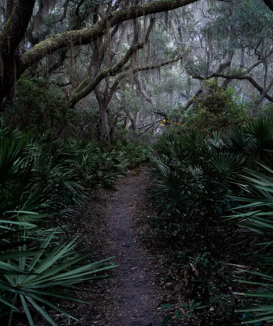 Pathways Through Time