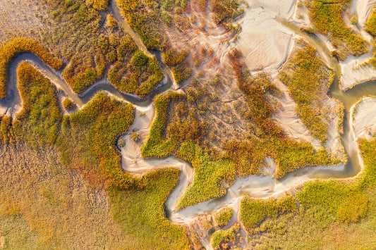 Patterns and Textures of the Marsh