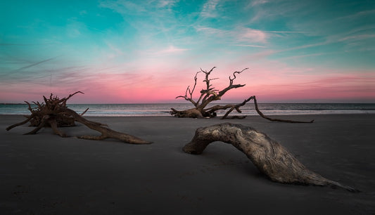 Waiting for the Tide