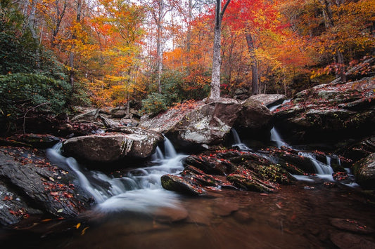 Tennessee Colors in the Ocoee