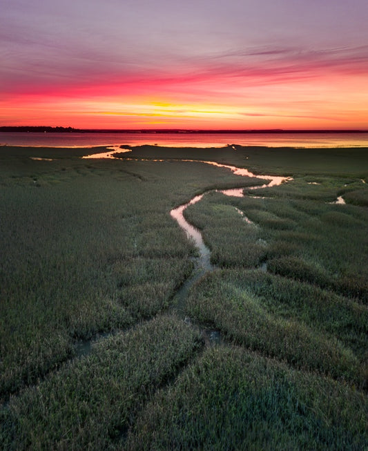Daybreak on the Georgia Marsh