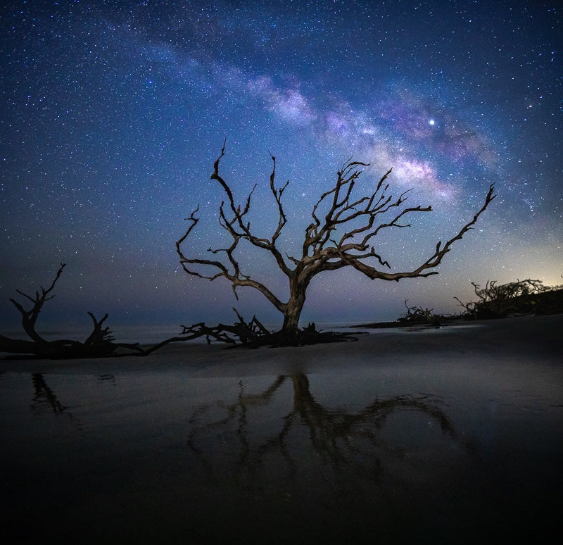 Milky Way Over Driftwood Beach