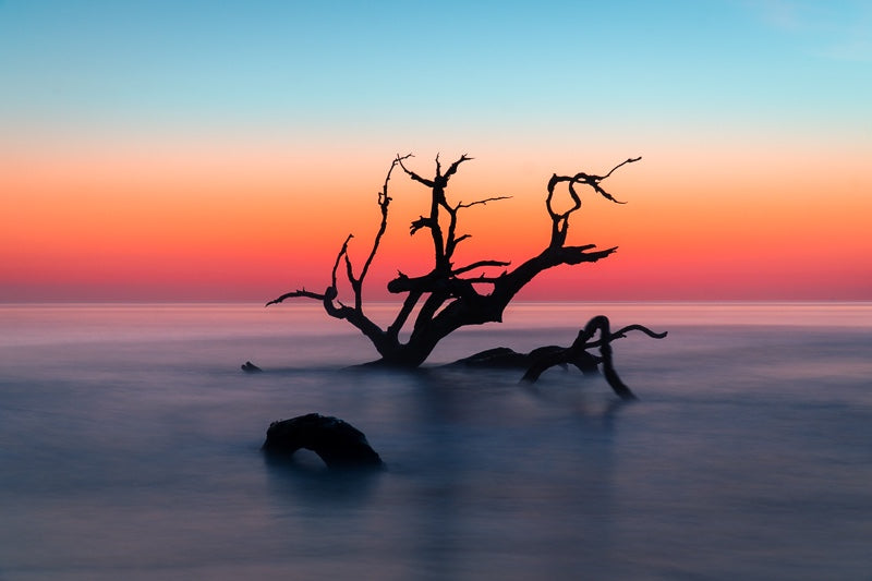 Driftwood Beach Sunrise