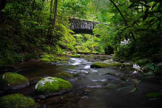 Great Smoky Mountains National Park