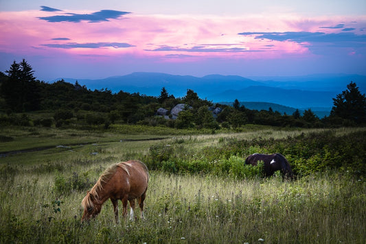 Grayson Highlands