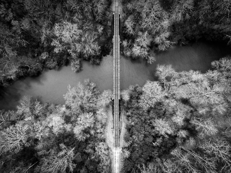 Train Tracks Through the Forest
