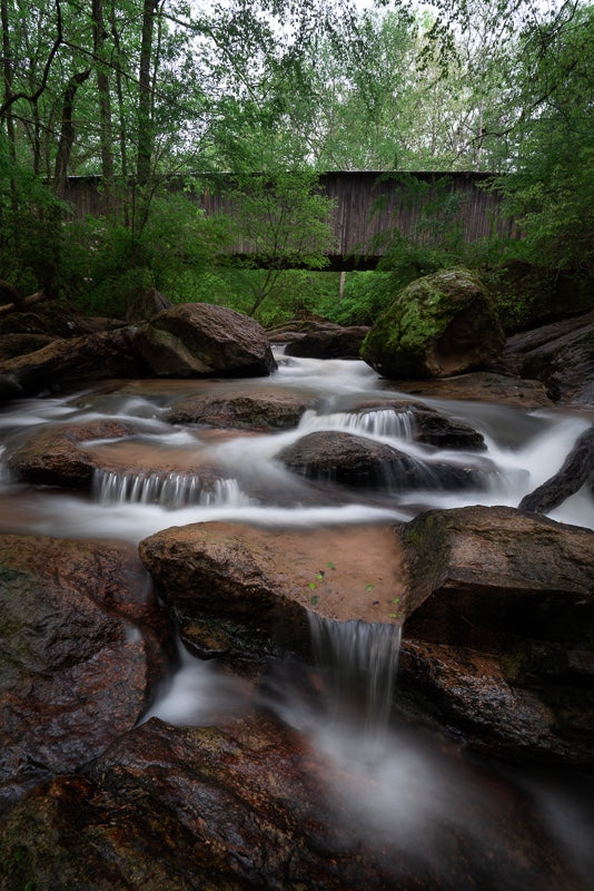 Springtime at Elder Mill