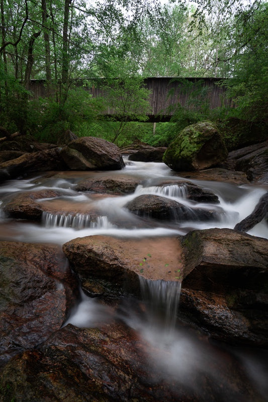 Springtime at Elder Mill