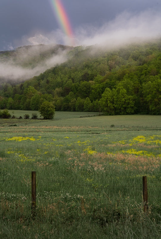 Rainbow After the Storm